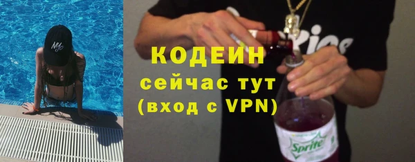 мдпв Заводоуковск