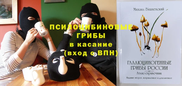 прущий лед Елабуга