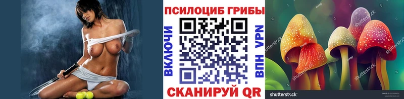Купить где  Зарайск  Псилоцибиновые грибы Psilocybe 